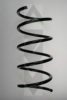 SPIDAN 55747 Coil Spring